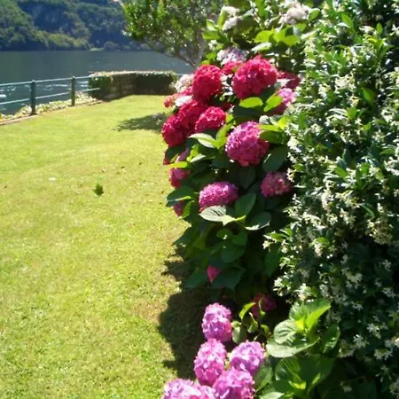 Sleeps 12 *